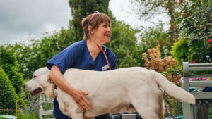 Paws Indoors - Vet Hempnall - calm appointment