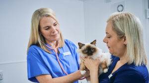 Paws Indoors, the vet that comes to your Hempnall home